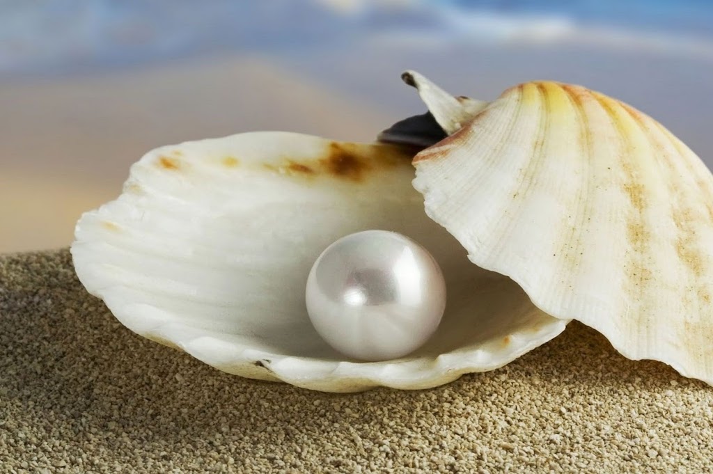 white-pearl-in-oyster.jpeg